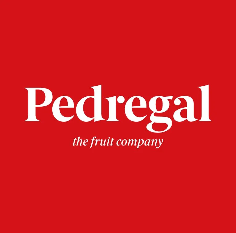 El Pedregal Logo