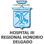HOSPITAL HONORIO DELGADO Logo