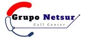 GRUPO NETSUR Logo