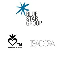 BLUE STAR GROUP Logo
